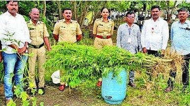Beed Crime News