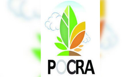Pokhara scam case
