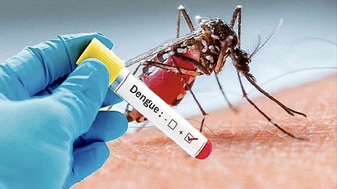 Dengue Paralysis Risk