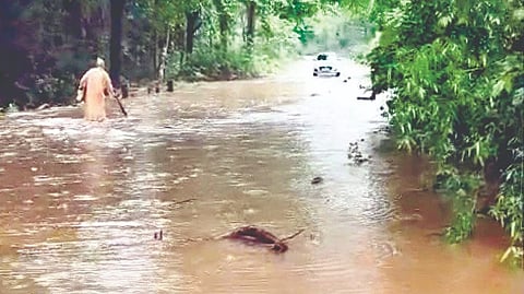 Dodamarg Rain News