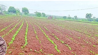Latur Rain News