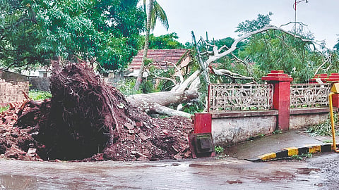 Belgaum News |
