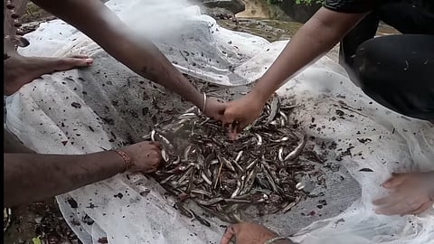 खानिवडे, ठाणे