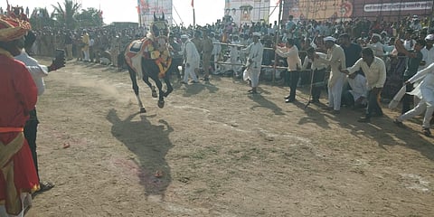 Wari 2025