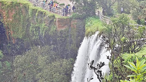 चिखले : सवतुरा धबधब्यावर रविवारी झालेली पर्यटकांची गर्दी.