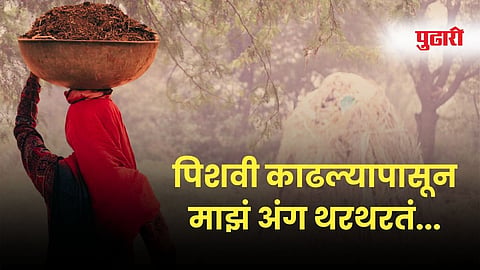Hysterectomy in sugarcane women workers