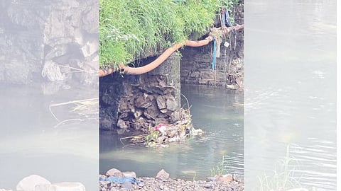 नेरळ (रायगड) 
