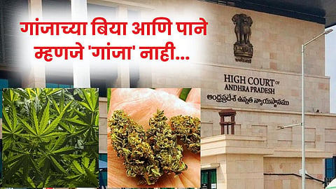 High Court 