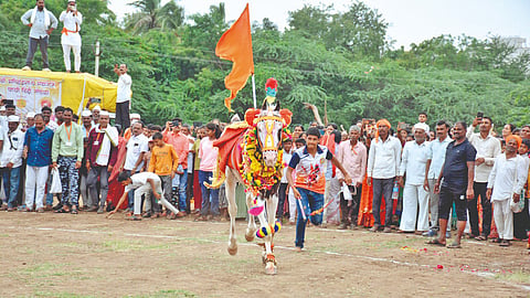 Sangli News
