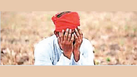 Marathwada farmer death