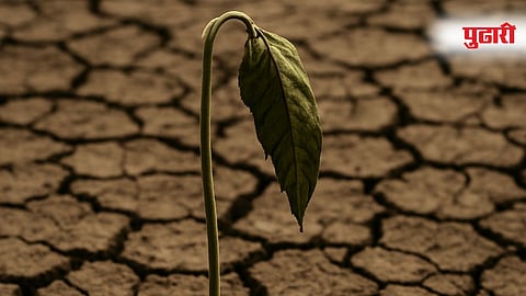 Farmer Death Representative Image