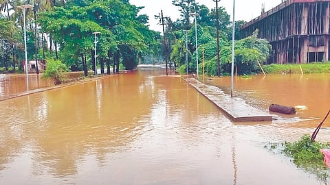 Kudal Rain