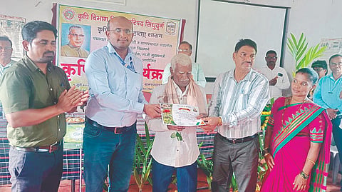 Sindhudurg Fruit Cultivation 