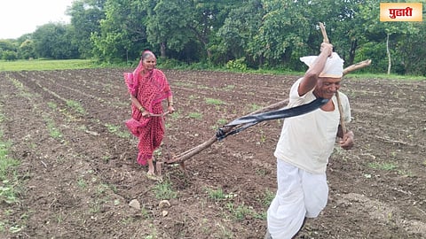 Latur Farmer News