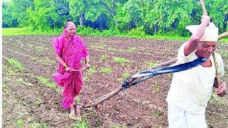Latur Farmer News