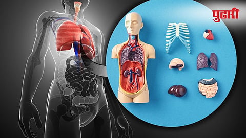 Organ Transplant Waiting List |