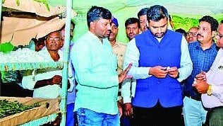 Beed News