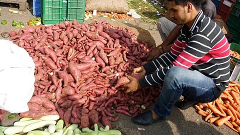Sweet Potato Rates