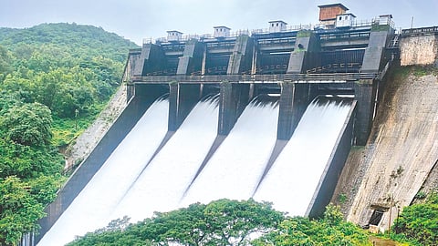 Chandoli Dam  