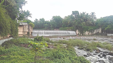 Raigad dam water level increase
