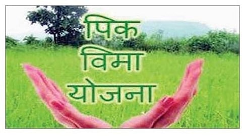 Crop Insurance Scam