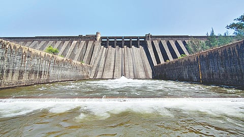 Dam silt