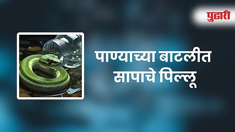 Snake Found in Drinking Water