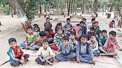 Education crisis