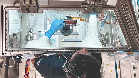Space Farming