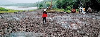 Pune: रिंगरोडसाठी सिंहगड भागात बेसुमार वृक्षतोड