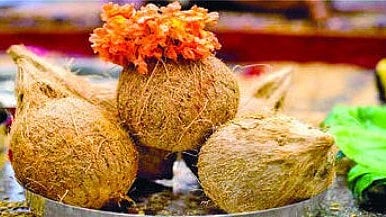 Coconut become expensive