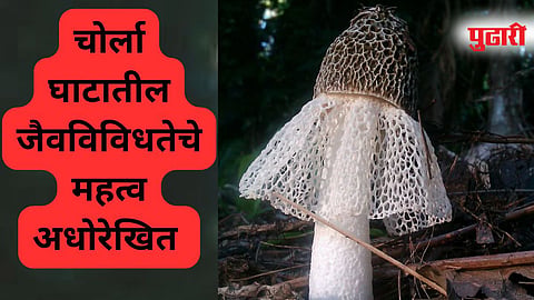 Goa Environment