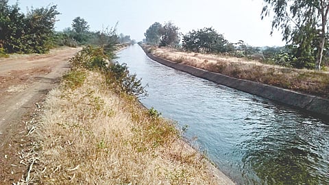Nira canal |
