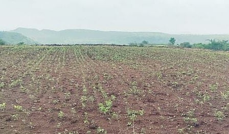Satara News | 