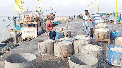 मत्स्योत्पादन