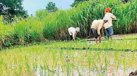 Patan taluka |