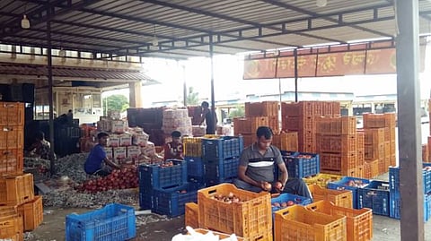Pomegranate Price