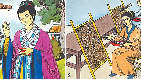 silk production