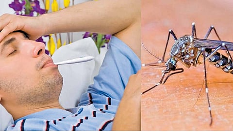 Monsoon diseases