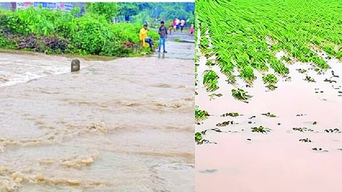 Jalna Rain