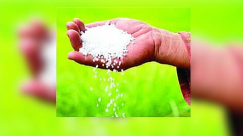 fertilizer