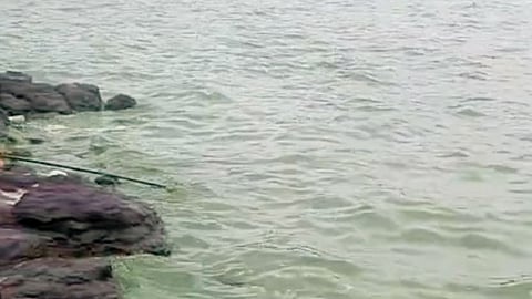 Bhatghar Dam