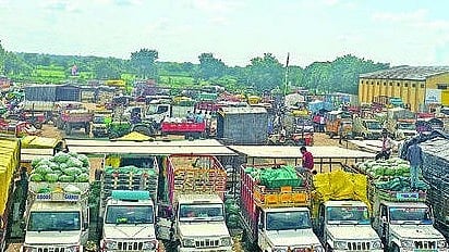 Pimpalgaon Renukai Mirchi: मराठवाड्याच्या मिरचीचा दिल्लीत ठसका, प्रति क्विंटल 'इतका' भाव