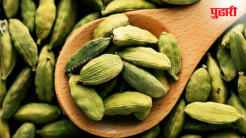 Cardamom Benefits 