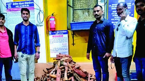 Sandalwood Seized