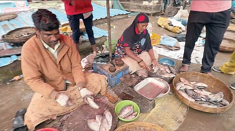 Fishing Affected