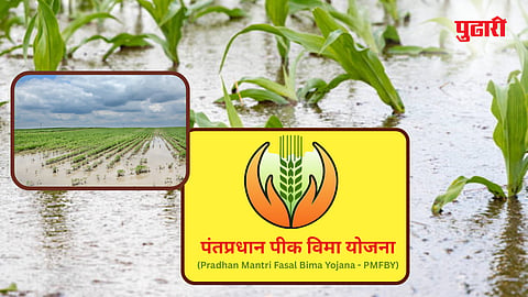 Pm pik vima yojana