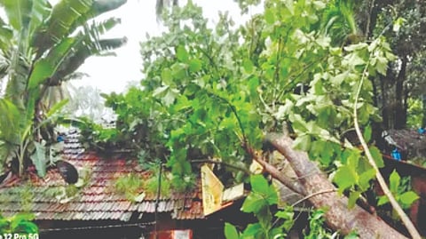 Sindhudurg Heavy Rain 