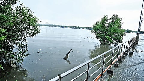 Coastal Road land acquisition