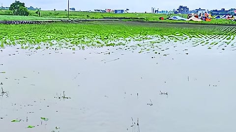 Dharashiv Rain